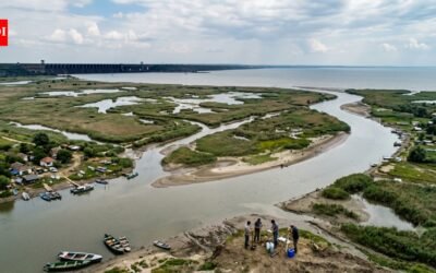 Two giant dams changed Europe’s second-longest river. Decades later, scientists found the Danube Delta was being starved of sediment | World News