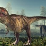 66.5 million years ago, a T. rex crossed North America; fossil footprints now show the giant dinosaur walked, not ran