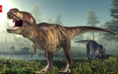 66.5 million years ago, a T. rex crossed North America; fossil footprints now show the giant dinosaur walked, not ran