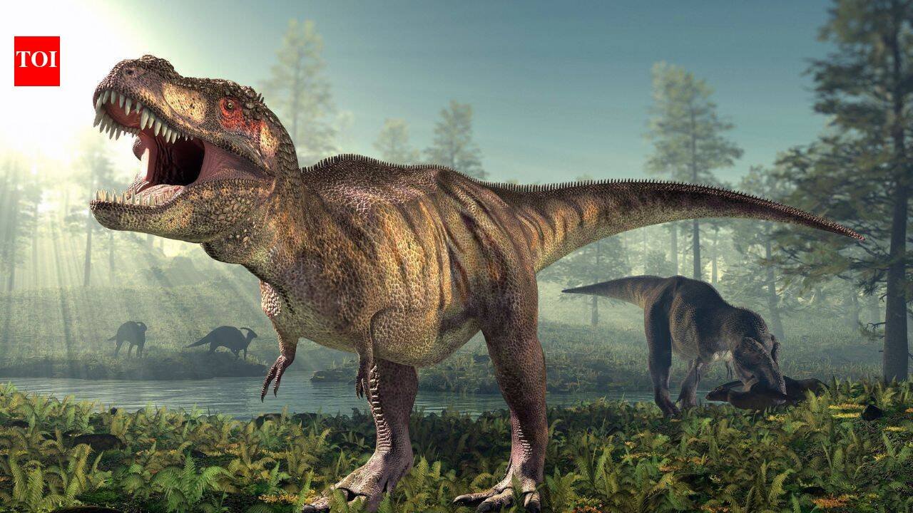 66.5 million years ago, a T. rex crossed North America; fossil footprints now show the giant dinosaur walked, not ran