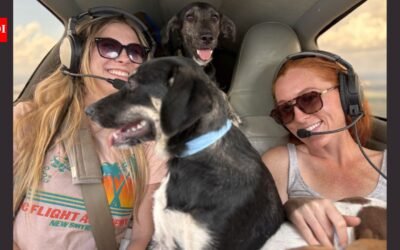 Florida volunteer pilots started flying animals out of overcrowded shelters in 2010; more than 12,000 rescued dogs and cats have now made the journey