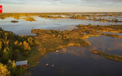 Finland’s coast is still rising after the Ice Age; around the Gulf of Bothnia, 1,730 acres emerge each year, but waterfront owners may not own the new land
