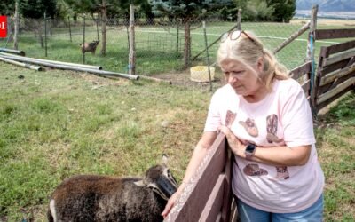 A Utah couple spent 14 years trying to stop their 25.5-acre farm from becoming another subdivision; the land is now permanently protected from development even as homes spread around it