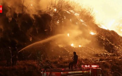 Ecological terrorism: Indonesia seeks tougher laws as country deals with devastating fires