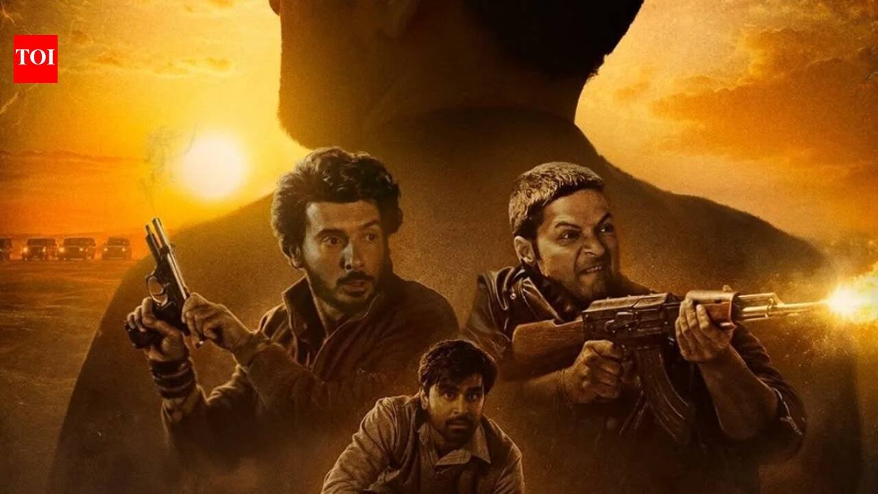 Mirzapur Full Movie Collection: ‘Mirzapur The Movie’ box office collections day 14; Pankaj Tripathi film holds at Rs 3.75 cr; India net crosses Rs 200 cr; worldwide gross Rs 291.89 cr | Hindi Movie News