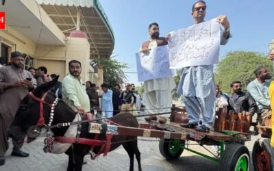 ‘Can’t afford petrol’: Pakistan PTI lawmakers ride donkey carts to assembly in protest