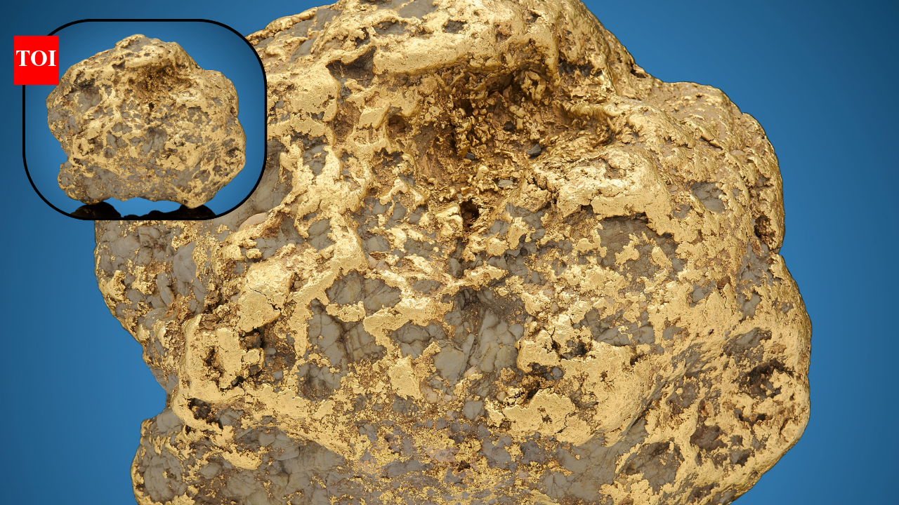 In 1998, Alaska miner Barry Clay was pushing dirt with a bulldozer near Ruby when he uncovered a 294.1-ounce gold nugget; 23 years later, the state’s largest recorded nugget sold for $750,000