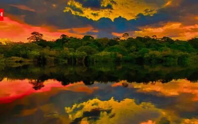 In 1927, Henry Ford took over a stretch of the Amazon rainforest to build an American town inside it; in 1945 he was forced to sell it for $250,000