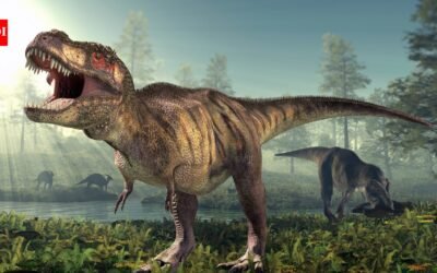 T. rex had a body temperature of 36.3°C, almost the same as humans; fossil tooth chemistry reveals the 66-million-year-old predator was warm-blooded and could survive in cold climates