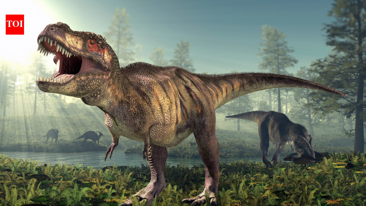T. rex had a body temperature of 36.3°C, almost the same as humans; fossil tooth chemistry reveals the 66-million-year-old predator was warm-blooded and could survive in cold climates