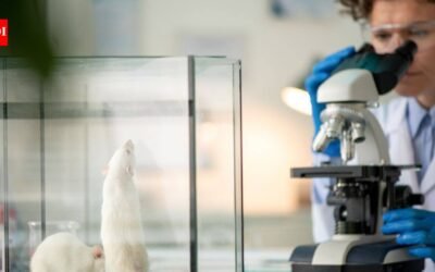 Stanford scientists transplanted human brain tissue into mice missing most of their cortex; within months, it grew to occupy more than 90% of the space
