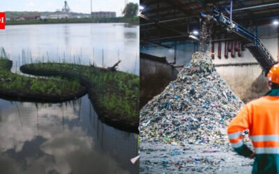 In 2017, Dubuque turned recycled plastic equal to about 67,000 water bottles into 14 floating islands; the 2,674-sq-ft system now adds plant, fish and bird habitat to Bee Branch Creek