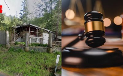 An 82-year-old California tea importer spent 53 years on a 2-acre compound with 36+ structures; after decades of permit disputes and a 2024 National Register listing, a court ordered him to leave