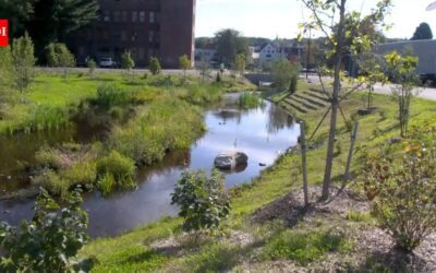 For half a century, Massachusetts’ Mill Brook ran beneath a downtown parking lot; Athol has now uncovered it, created 12,000 sq ft of wetlands and turned 53,000 sq ft of pavement into vegetation