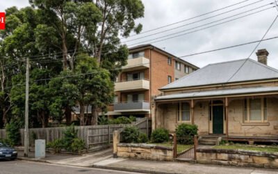 Australian homeowner blamed six neighbouring trees for damage to her 130-year-old heritage home and sought $23,650.86 for repairs; NSW court rejected the claim after finding no proven link to the trees