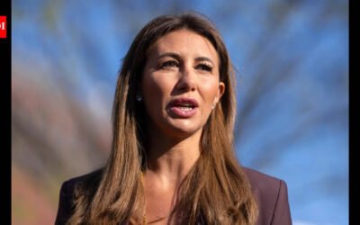 Who is Turhan Mildon? Turkish businessman set to marry Trump’s former lawyer Alina Habba