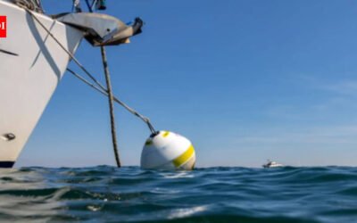At England’s Studland Bay, replacing damaging boat anchors with eco-moorings cut scars in seagrass by 94%; researchers say the recovering meadow is also supporting a growing population of seahorses