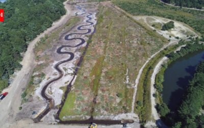 Massachusetts is turning a retired cranberry bog into the final restored link along Red Brook; the project is designed to protect a rare brook trout that moves between freshwater and the ocean