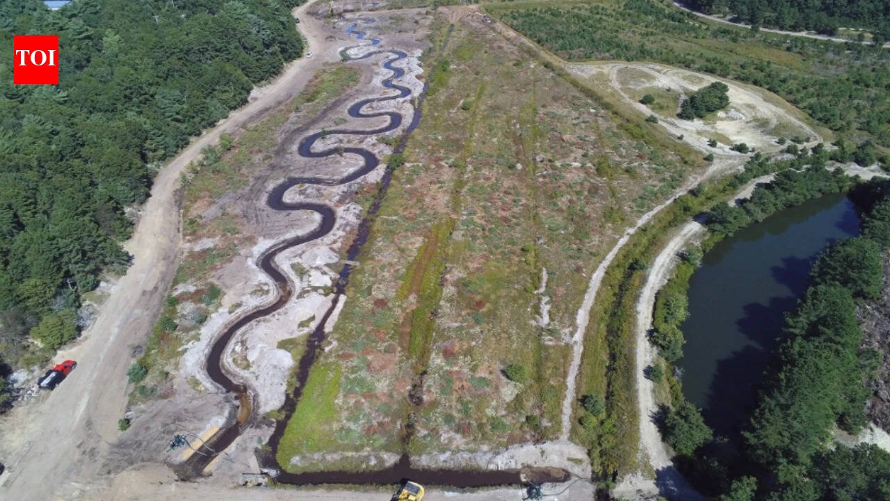 Massachusetts is turning a retired cranberry bog into the final restored link along Red Brook; the project is designed to protect a rare brook trout that moves between freshwater and the ocean