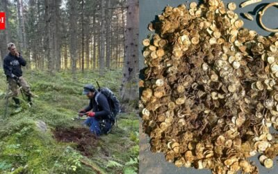 A man using a metal detector near a Finnish village finds more than 4,000 Viking Age silver coins in two birch-bark containers buried 39 feet apart | World News