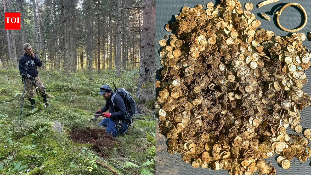A man using a metal detector near a Finnish village finds more than 4,000 Viking Age silver coins in two birch-bark containers buried 39 feet apart | World News