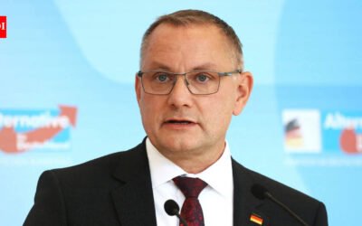 AfD, party that pulled off stunner in German polls, backs probe into Nord pipelines