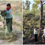 In 1999, Pennsylvania teacher Ronald Sakolsky donated ,000 to farmer Yin Yuzhen to fund her tree-planting efforts in Inner Mongolia; 27 years later, his contribution helped transform China’s Maowusu Desert into a forest of 50,000 trees