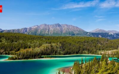 In 1993, a project set out to reconnect wildlife habitat from Yellowstone to Canada’s Yukon; its partnerships have now helped create 204 crossings and protect 24 million hectares