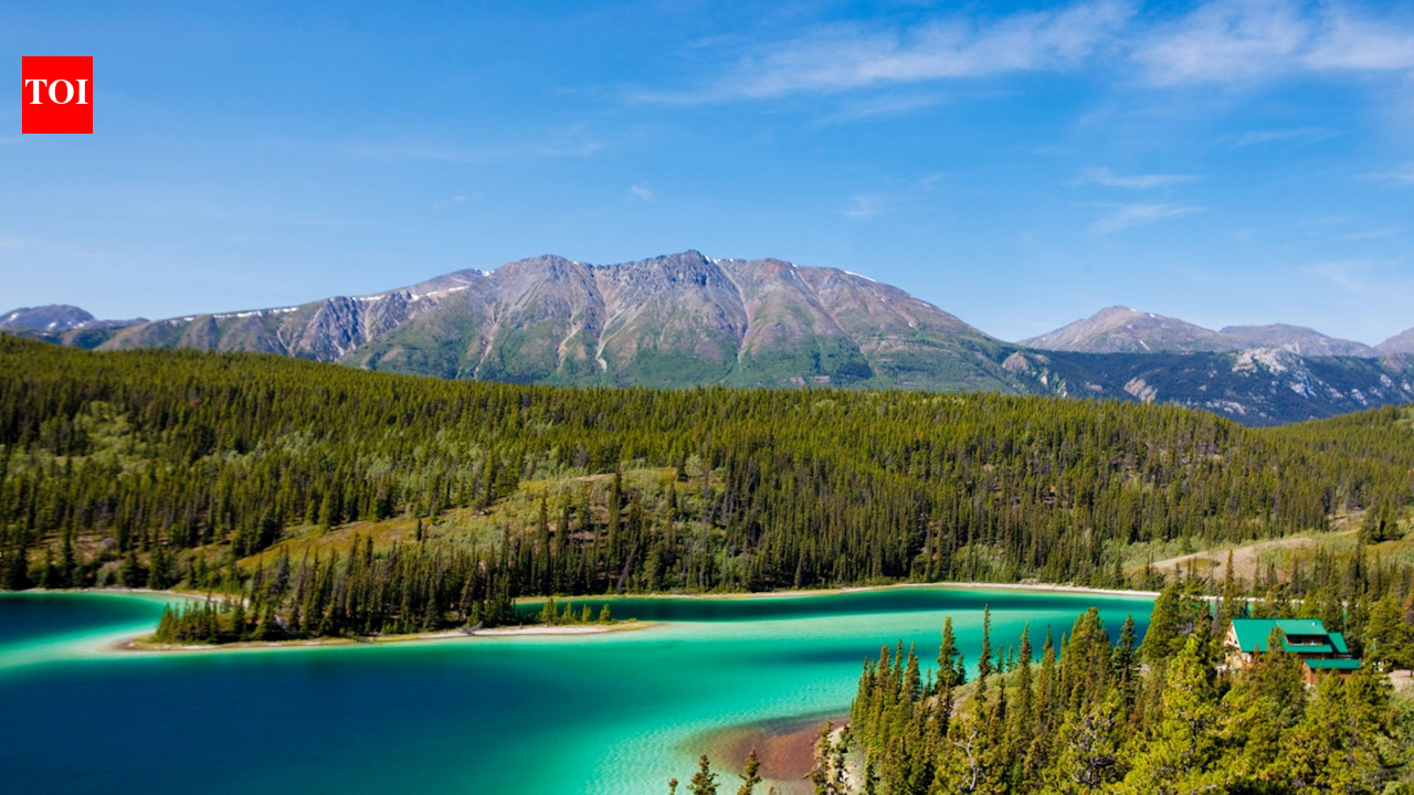 In 1993, a project set out to reconnect wildlife habitat from Yellowstone to Canada’s Yukon; its partnerships have now helped create 204 crossings and protect 24 million hectares