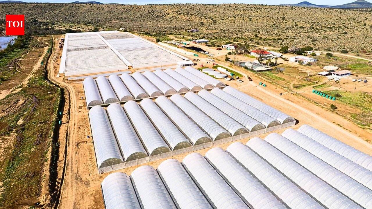 South Africa’s degraded Eastern Cape is getting 180 million spekboom plants; the restoration project is expected to create 11,000 jobs | World News