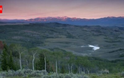 A Texas landowner bought a ranch in the 1990s and later added thousands of acres; today, more than 7,000 acres are managed for mule deer, pronghorn and other wildlife