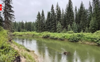 In 2003, Sean and Melodye Rooney bought Montana land beside the Stillwater River; 23 years later, their 57-acre property with nearly a mile of river frontage became permanently protected from development