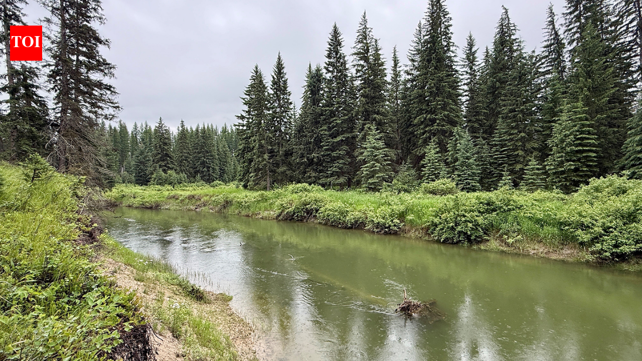 In 2003, Sean and Melodye Rooney bought Montana land beside the Stillwater River; 23 years later, their 57-acre property with nearly a mile of river frontage became permanently protected from development