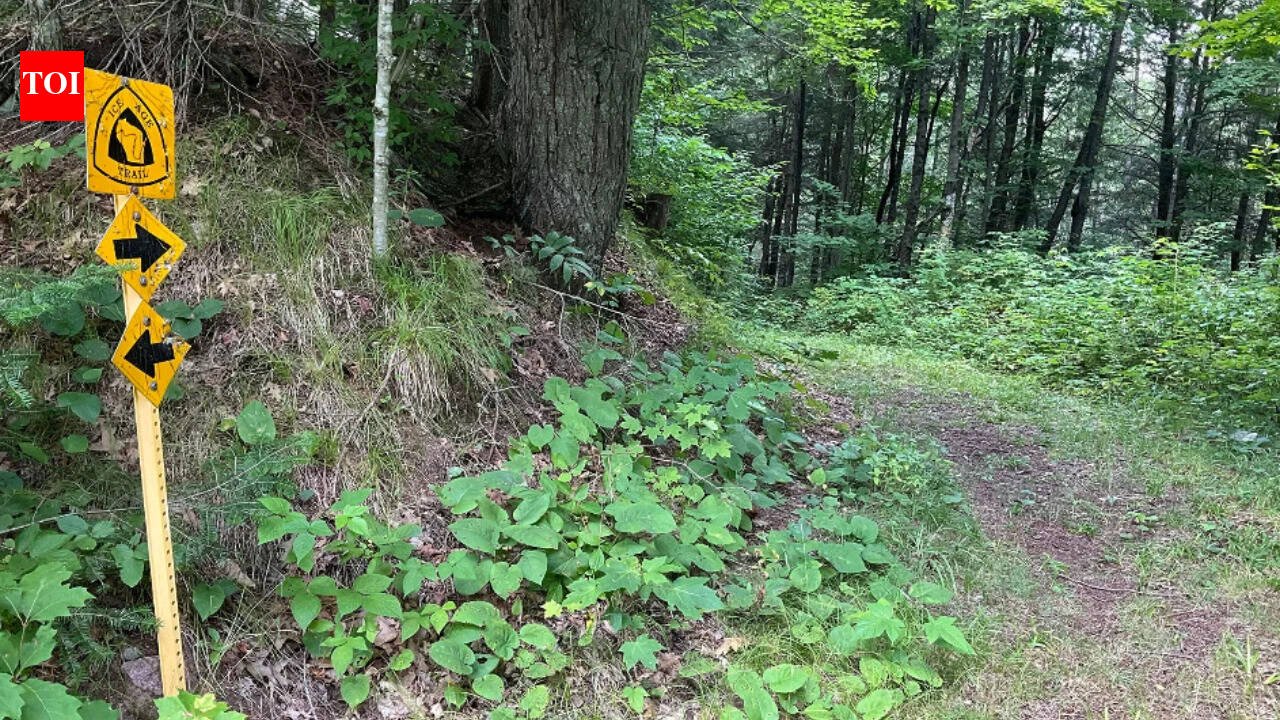 A Wisconsin family will keep owning and logging nearly 1,800 forest acres while a .6 million deal permanently blocks development and opens almost 1,500 acres to hikers, hunters and anglers