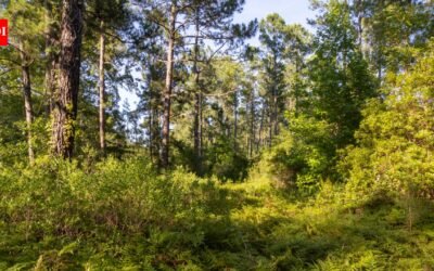 Forty-five North Carolina property owners sued over roads planned through their neighborhoods for the 1,800-home Hilton Bluffs project; the developer removed both links, then the county denied its revised one-access plan