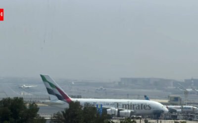 ‘Terrorist pilot planned to crash plane’: Israel security minister on flydubai cockpit incident
