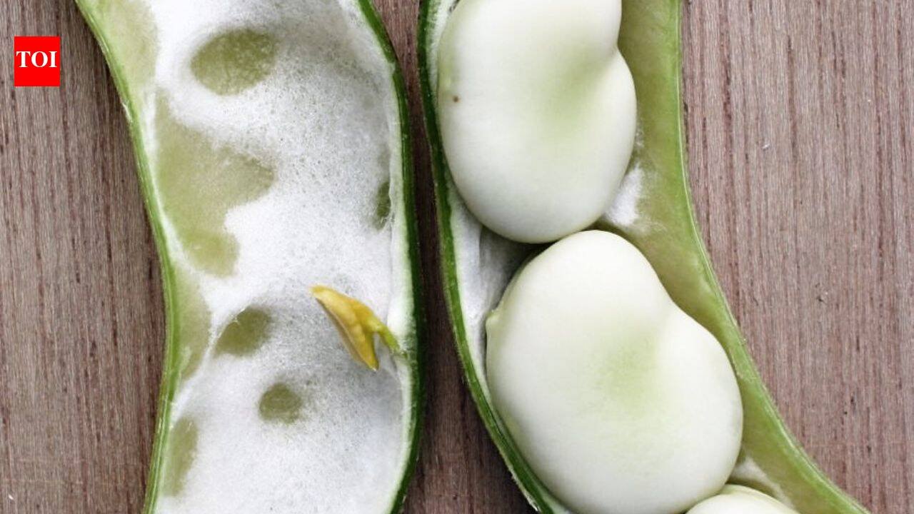 A Somerset family has grown the same broad bean since 1875; 150 years later, the heirloom has entered a national seed collection | World News