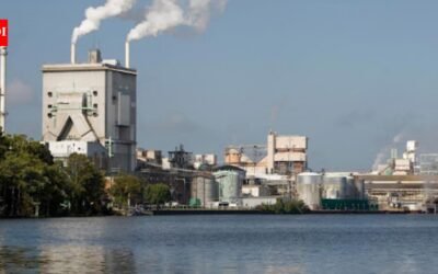 After more than 50 years of pulp-mill pollution, regulators have proposed restoring North Carolina’s Roanoke River, including contaminated floodplain habitat damaged by toxic discharges