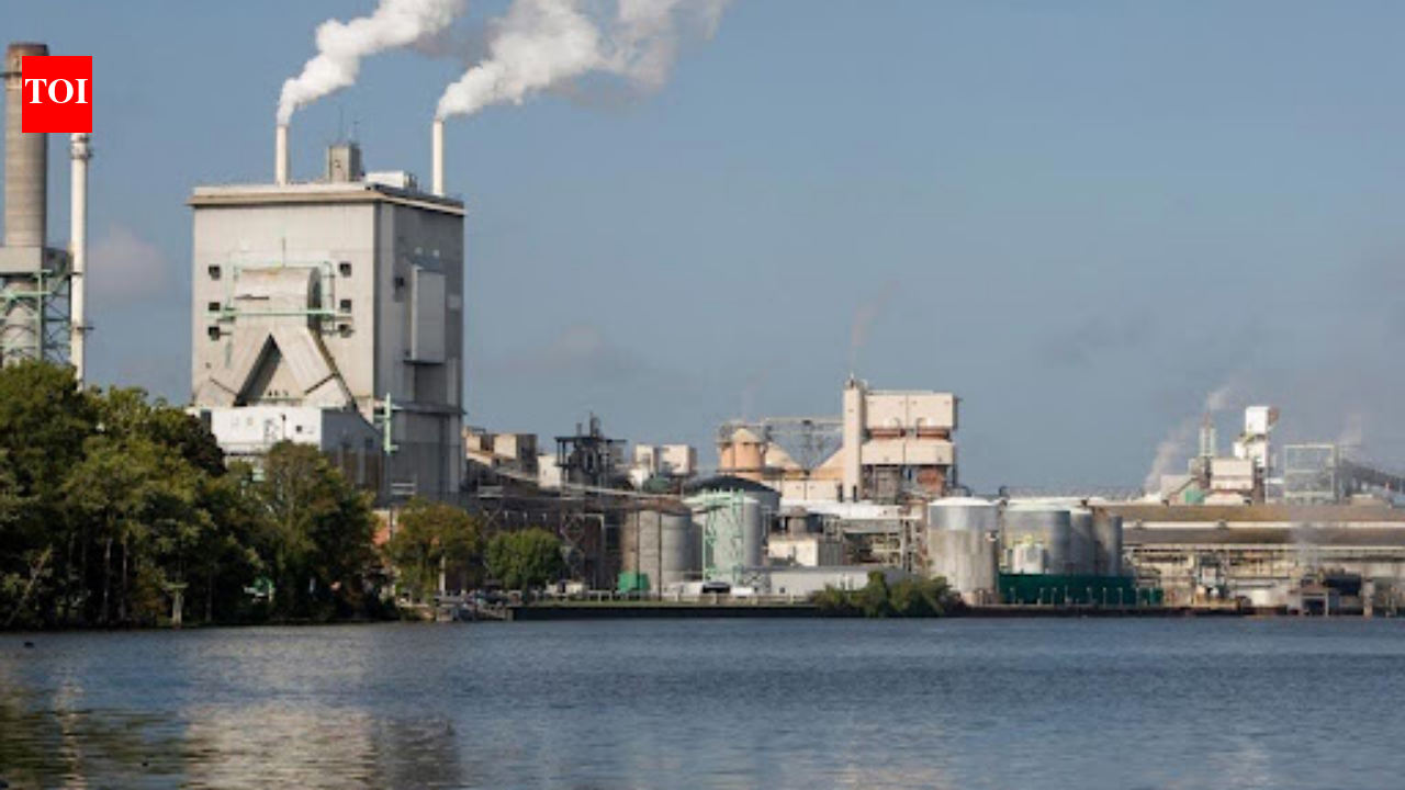After more than 50 years of pulp-mill pollution, regulators have proposed restoring North Carolina’s Roanoke River, including contaminated floodplain habitat damaged by toxic discharges