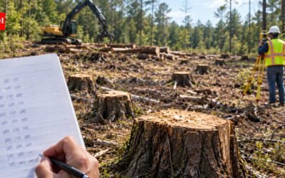 In 2022, loggers working for neighbours crossed onto a Mississippi couple’s land and cut 1,299 trees; their handwritten tally helped secure a $41,920 award later upheld on appeal