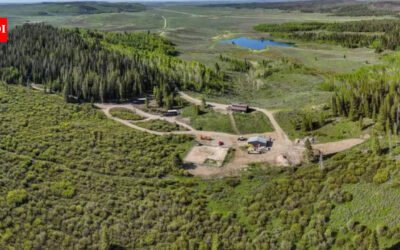 A 558-acre Wyoming ranch sat unsold for 14 months even after its price fell from nearly $20 million to $15 million; when owners scheduled a no-reserve auction, a buyer made an offer before bidding even began