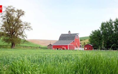 An Iowa family lived on and worked its farmland for 84 years as Tom Woods gradually expanded the operation; now 1,209 acres are being split into 13 tracts and auctioned, ending a family land chapter