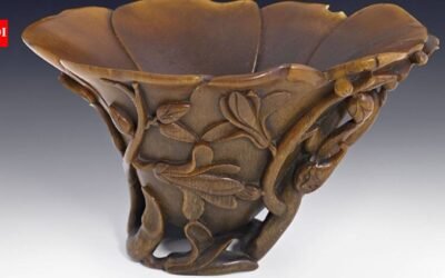 A Sydney shopper bought a carved cup for A$4 at a thrift shop; experts identified it as a centuries-old Chinese rhinoceros-horn cup, and was auctioned for A$75,640 in 2013