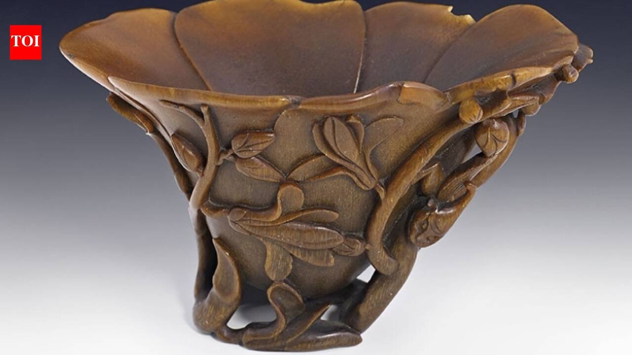 A Sydney shopper bought a carved cup for A at a thrift shop; experts identified it as a centuries-old Chinese rhinoceros-horn cup, and was auctioned for A,640 in 2013