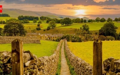 ​For 10 years, farmers across 13,500 hectares of southern England coordinated habitat work; one cluster recorded a 346% rise in corn buntings and a 183% rise in butterfly abundance over the decade