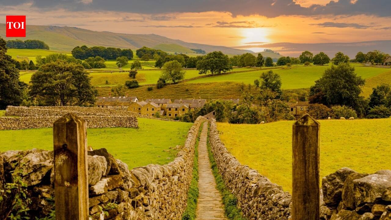 ​For 10 years, farmers across 13,500 hectares of southern England coordinated habitat work; one cluster recorded a 346% rise in corn buntings and a 183% rise in butterfly abundance over the decade