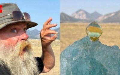 An Arkansas gem hunter found a 6.03-carat yellow diamond after paying $15 to search a state park; he says it could be worth $1 million, but another appraisal puts it closer to $250,000