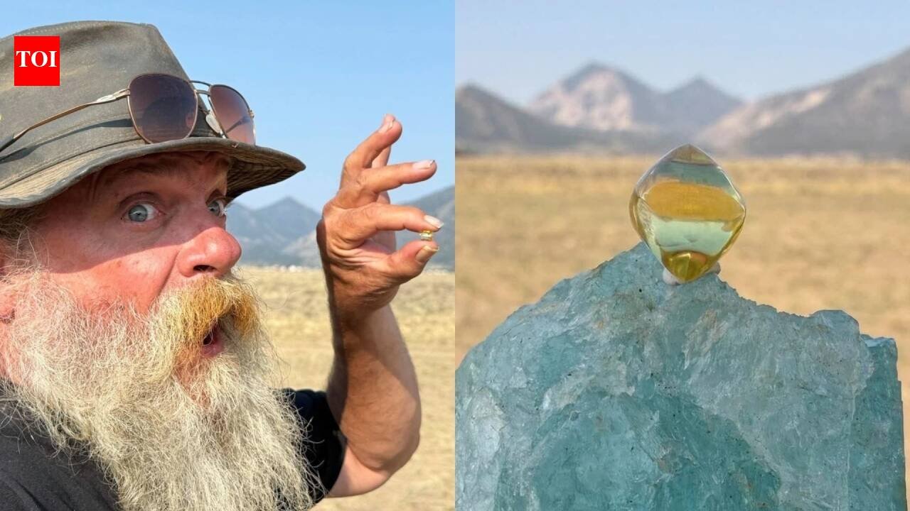 An Arkansas gem hunter found a 6.03-carat yellow diamond after paying  to search a state park; he says it could be worth  million, but another appraisal puts it closer to 0,000