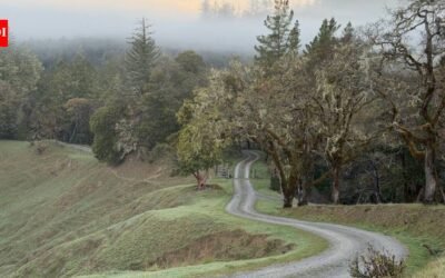 In 1914, a California family bought what became the 6,625-acre Kinsey Ranch; 112 years later, after one brother pushed to protect it before his death, the entire working cattle ranch is now permanently protected from development