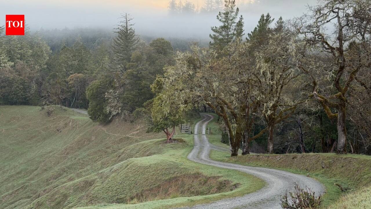 In 1914, a California family bought what became the 6,625-acre Kinsey Ranch; 112 years later, after one brother pushed to protect it before his death, the entire working cattle ranch is now permanently protected from development